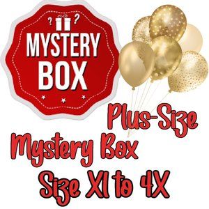 RESELLER MYSTERY BOX - PLUS SIZES 7-9 ITEMS